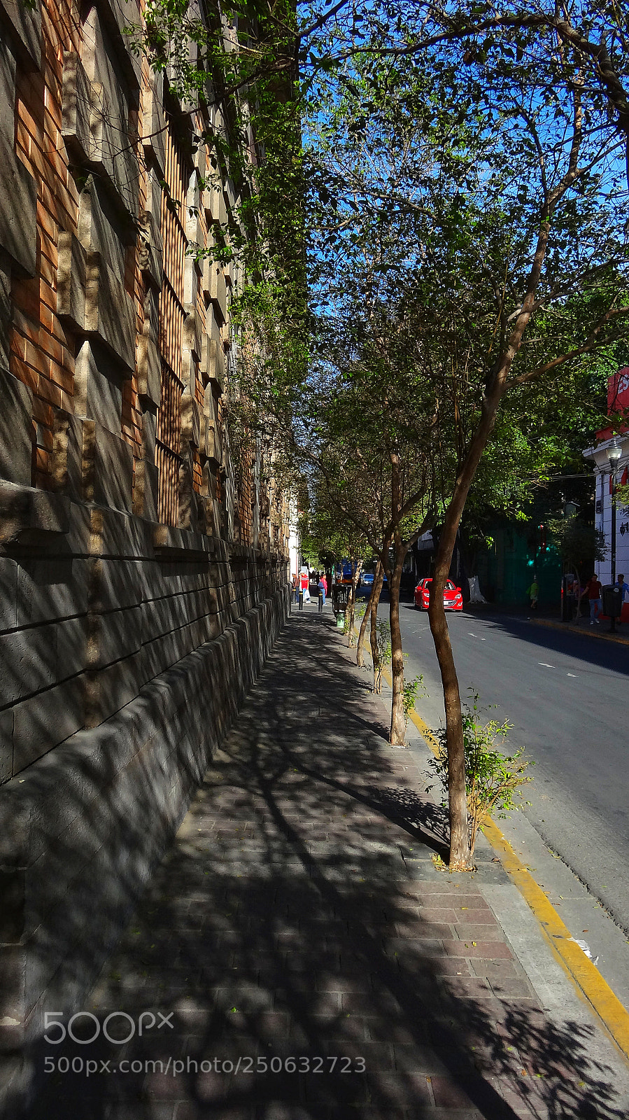Sony Cyber-shot DSC-HX20V sample photo. Footpath photography