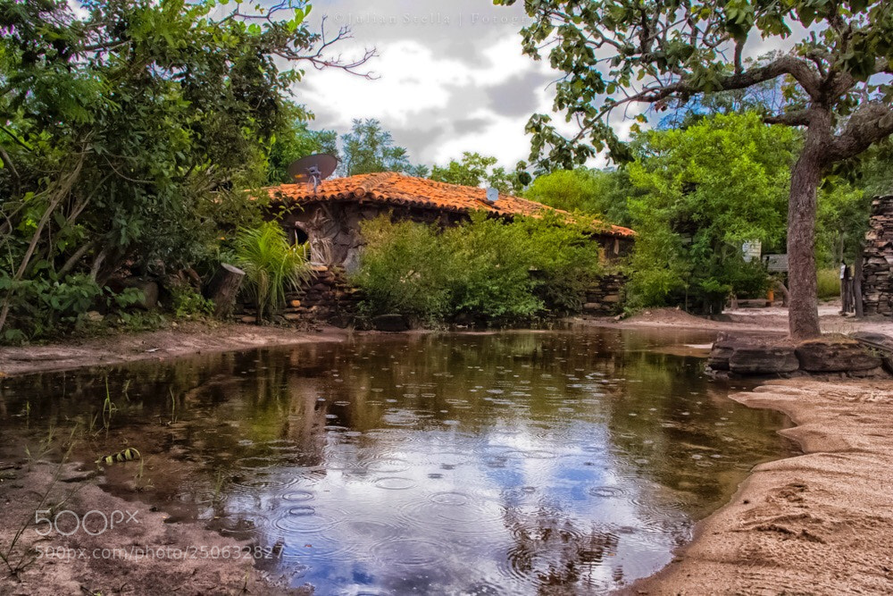 Canon EOS-1D Mark II sample photo. Paradise photography