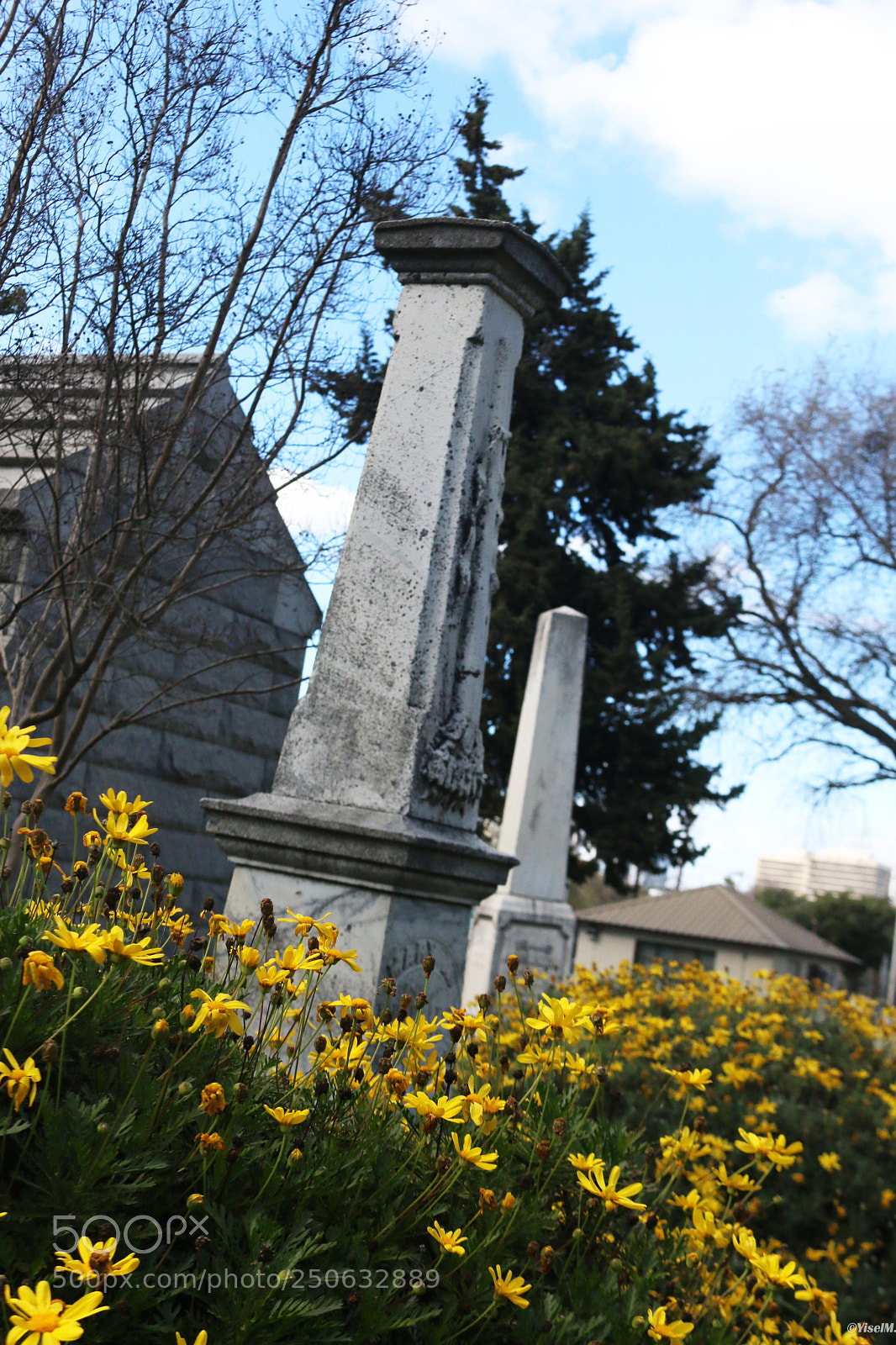 Canon EOS 70D sample photo. Historic cemetery photography