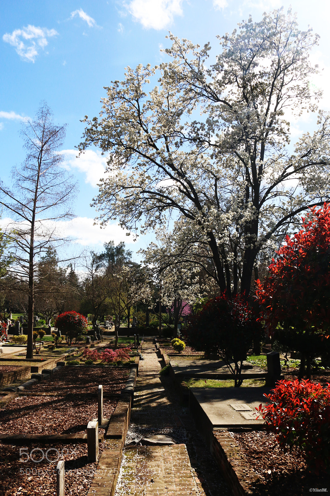 Canon EOS 70D sample photo. Cemetery photography