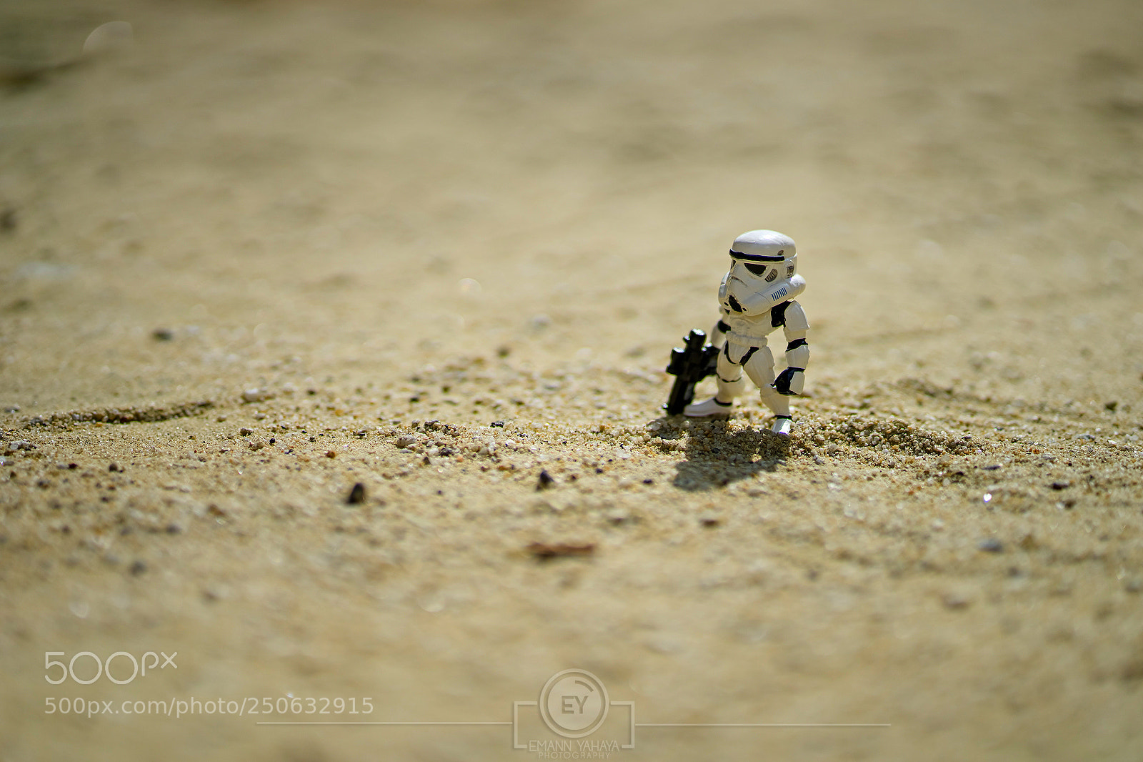 Sony a7 sample photo. Where are the effing photography