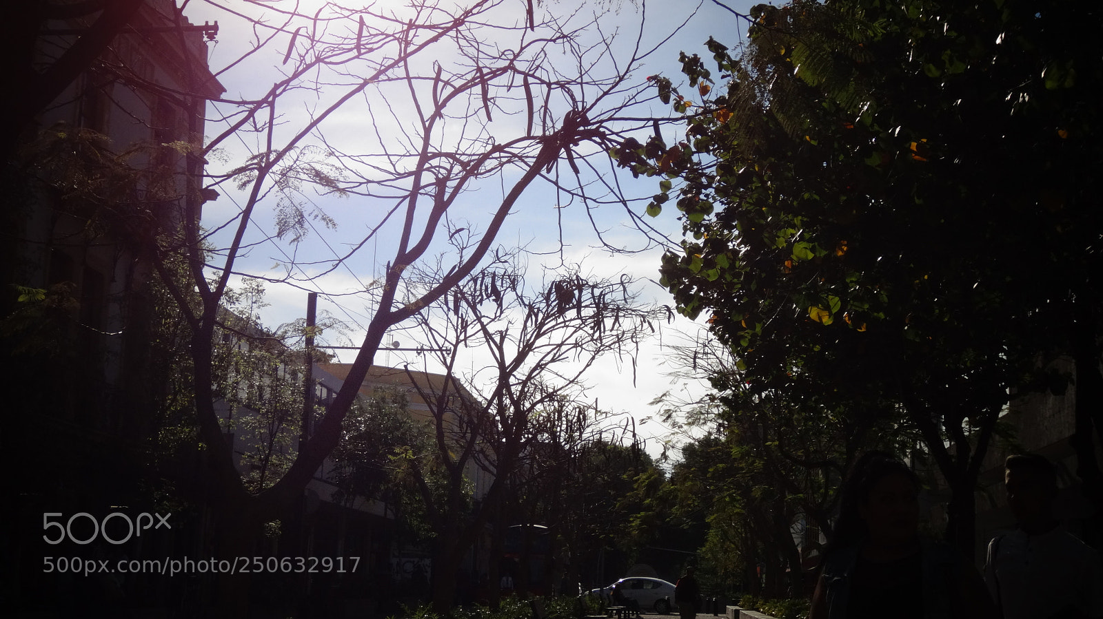 Sony Cyber-shot DSC-HX20V sample photo. :v photography