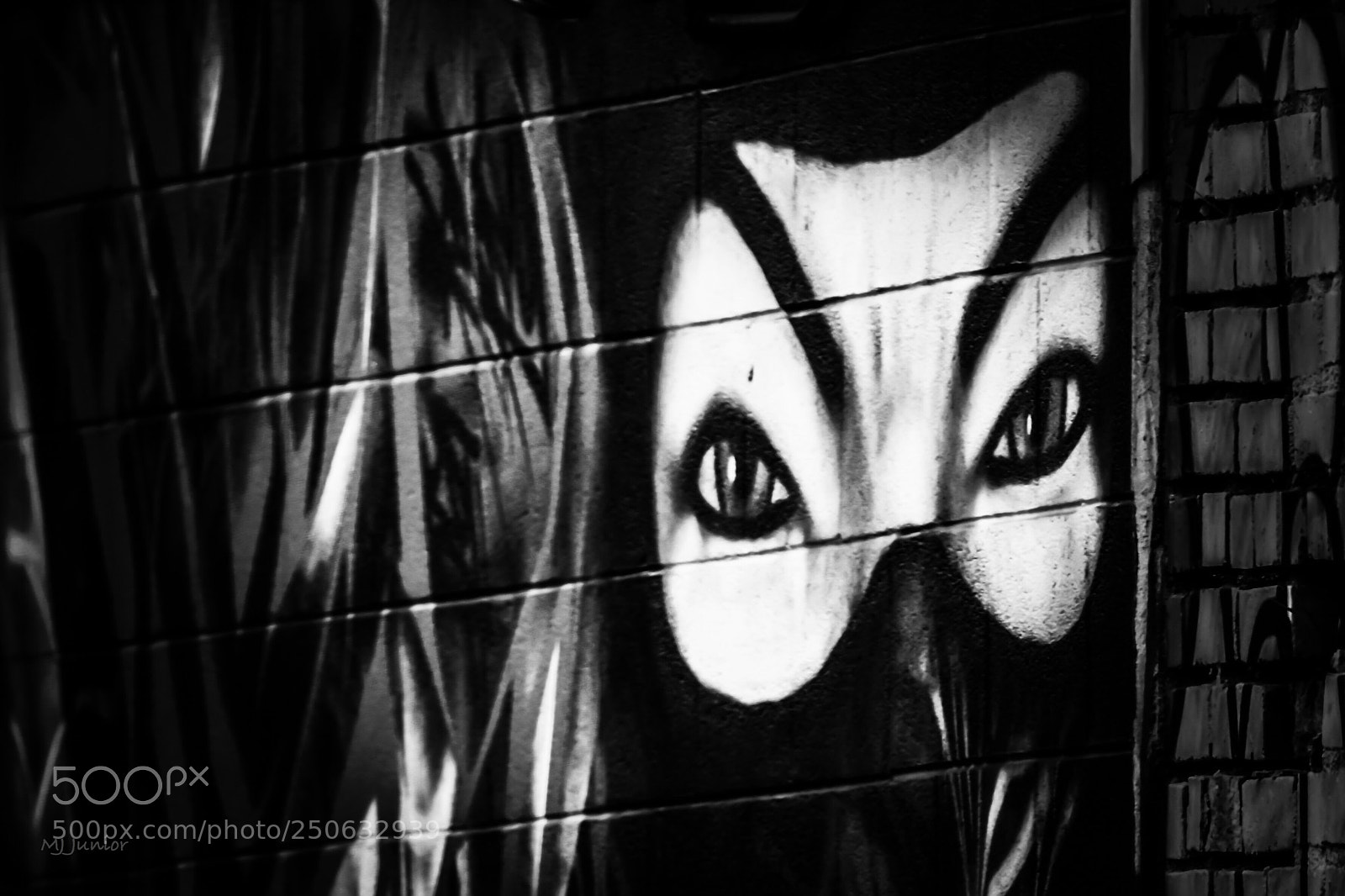 Nikon D3300 sample photo. Black eyes... photography