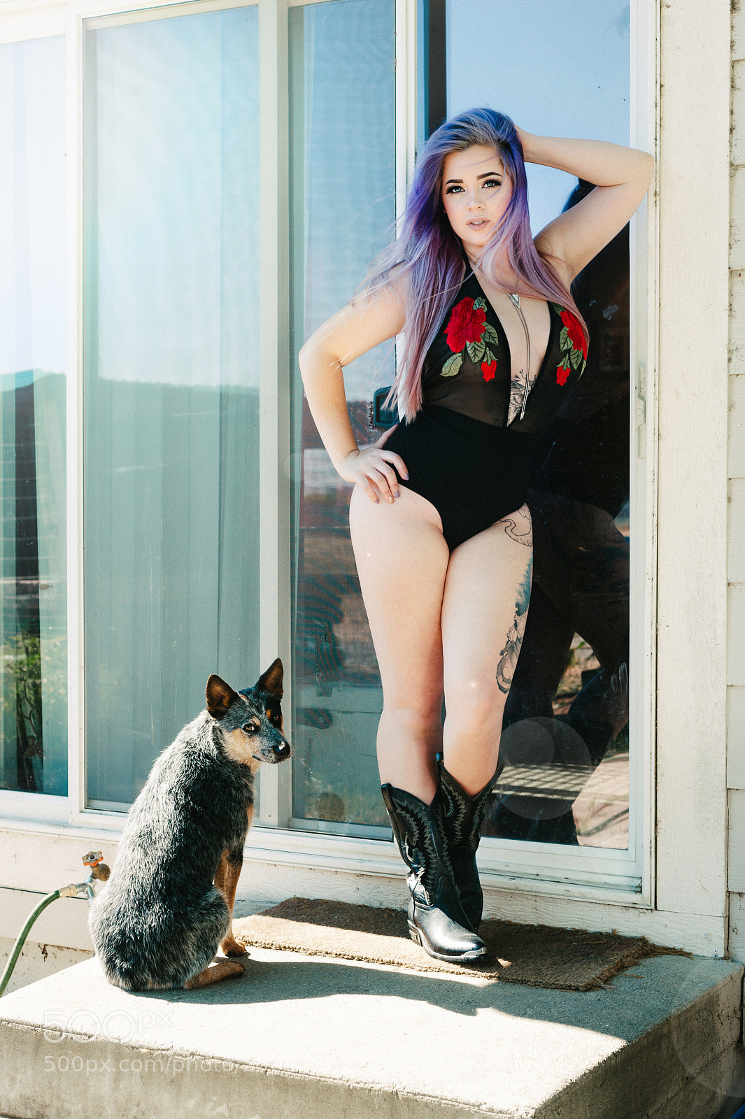 Nikon D3 sample photo. All dogs must chase photography