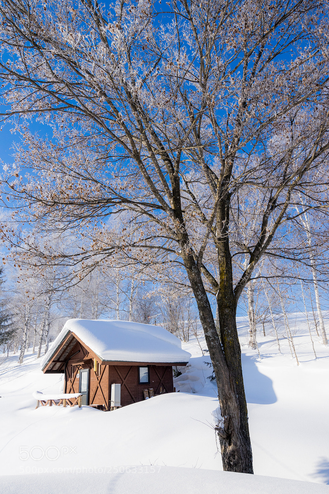 Sony a7 II sample photo. 140101hokkaido-509.jpg photography
