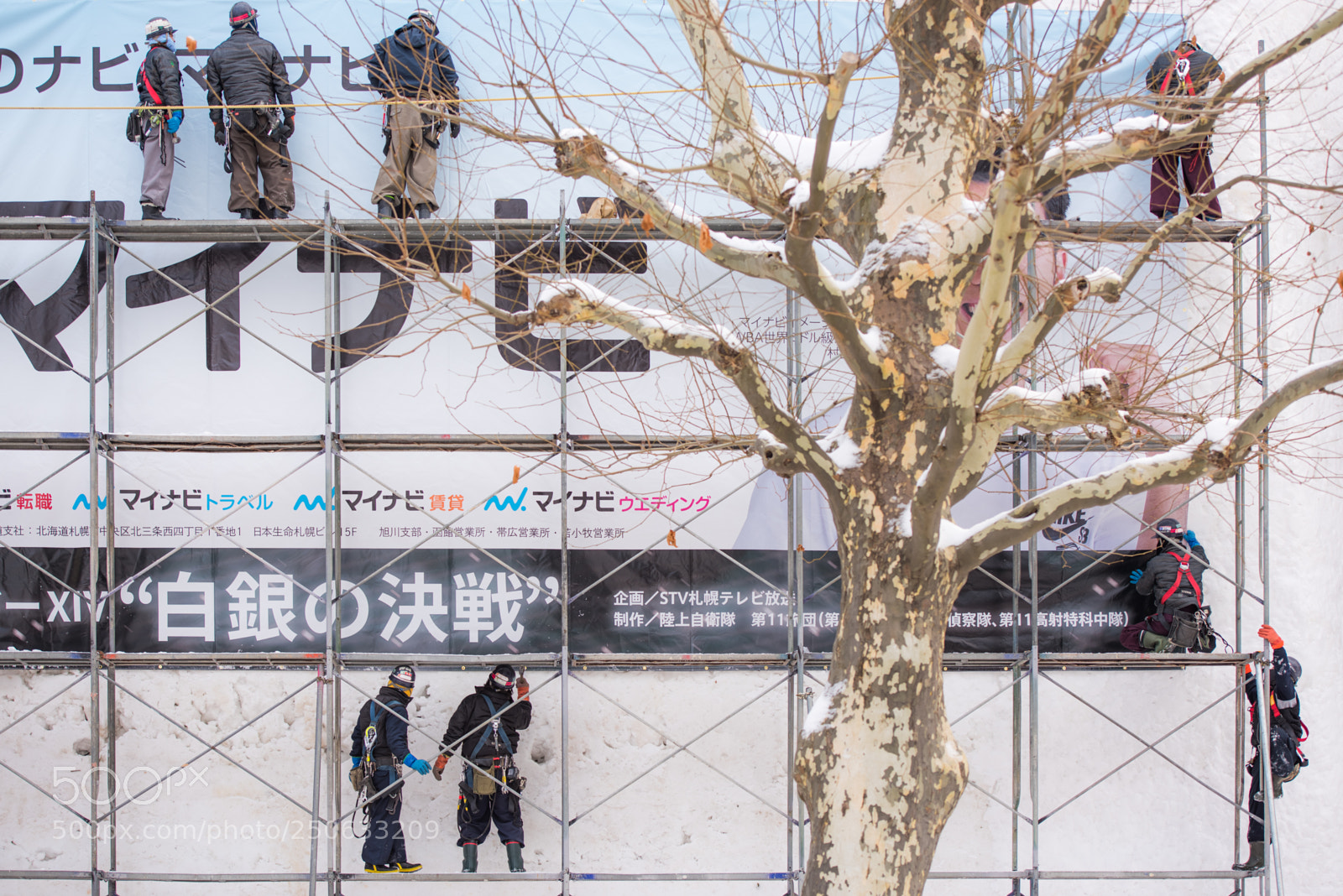Nikon D810 sample photo. 180128hokkaido-2.jpg photography