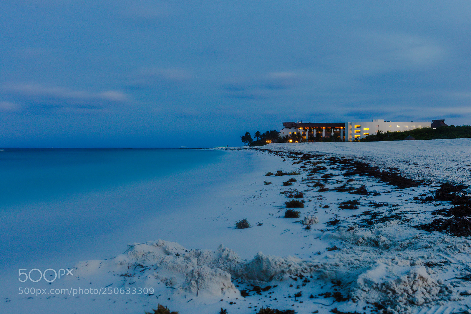 Canon EOS 5DS sample photo. Untitled photography