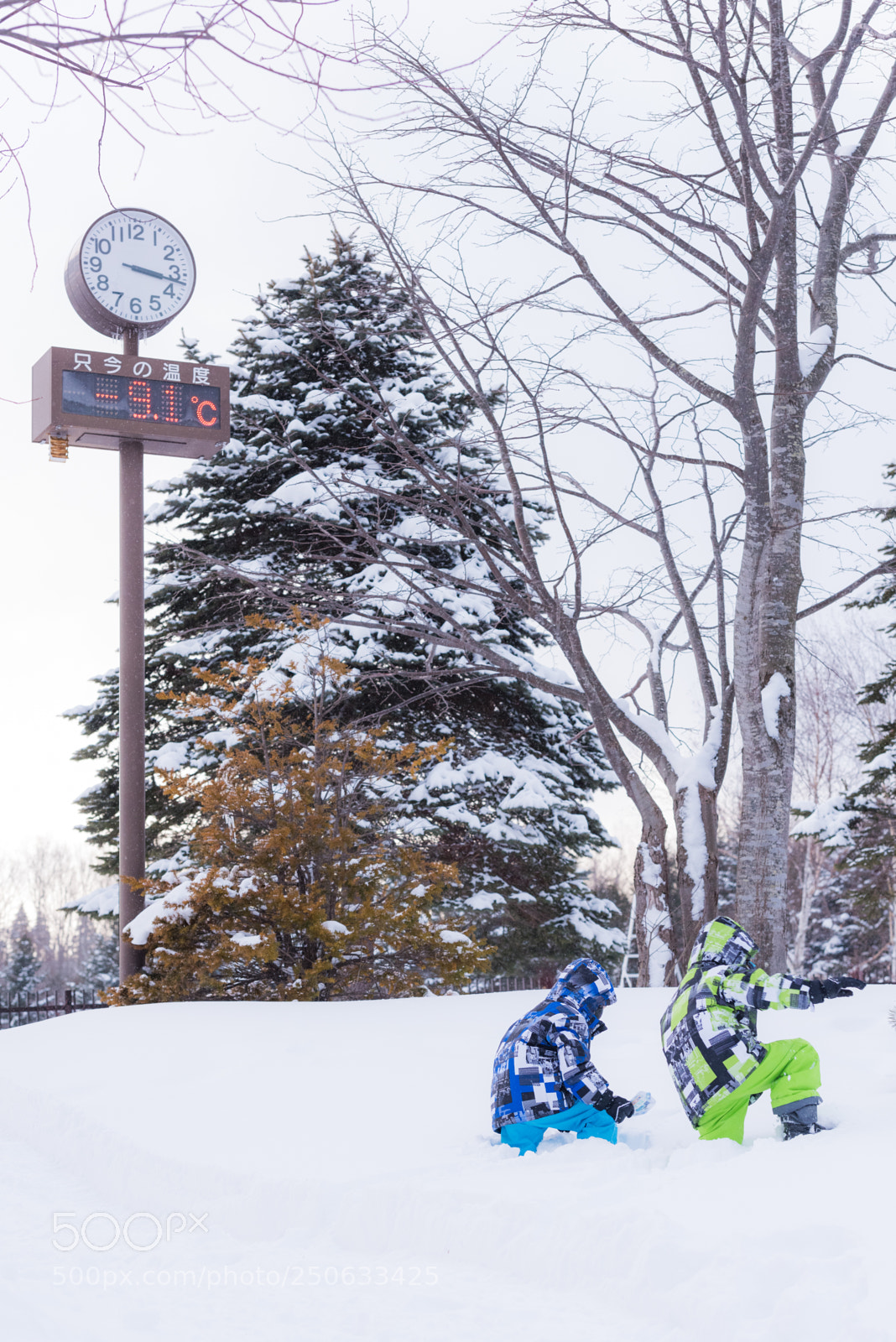 Nikon D810 sample photo. 180129hokkaido-87.jpg photography