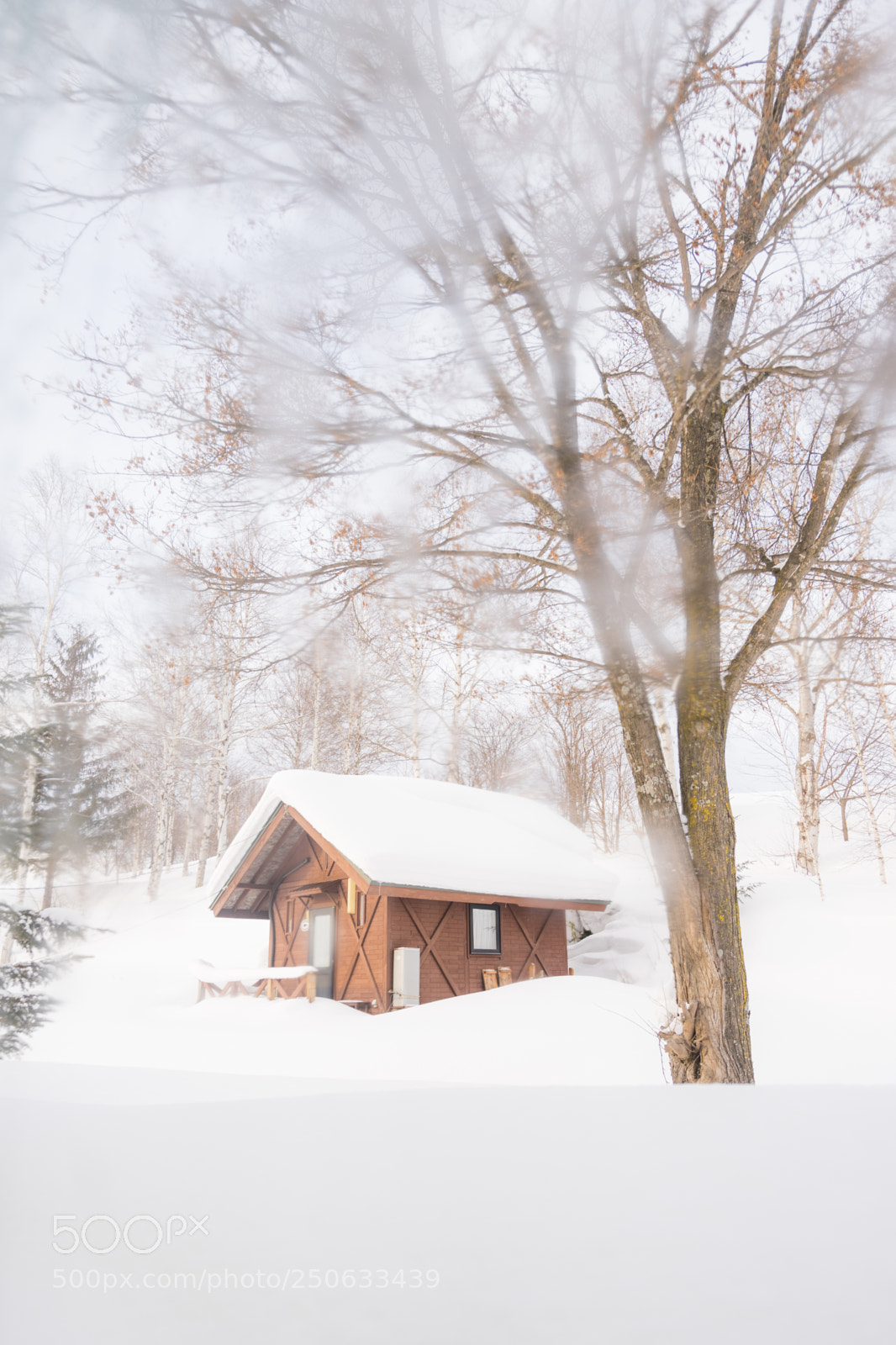 Sony a7 II sample photo. 180131hokkaido-579.jpg photography