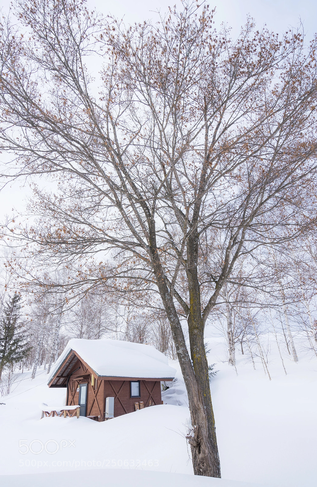 Sony a7 II sample photo. Cabin in the snowy photography