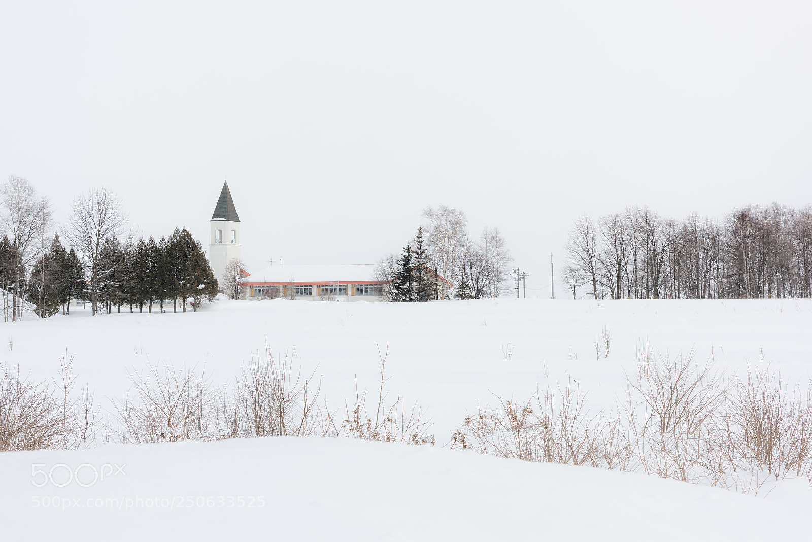 Nikon D810 sample photo. Church tower school in photography