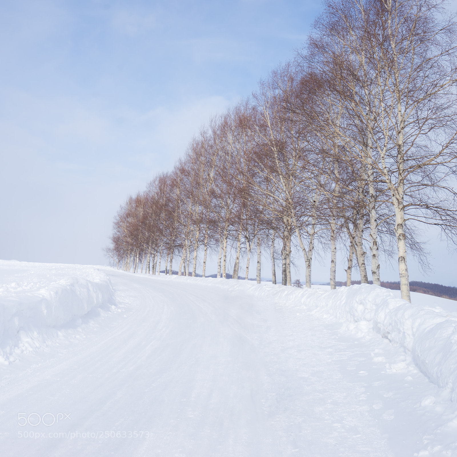 Sony a7 II sample photo. 180131hokkaido-607-edited.jpg photography