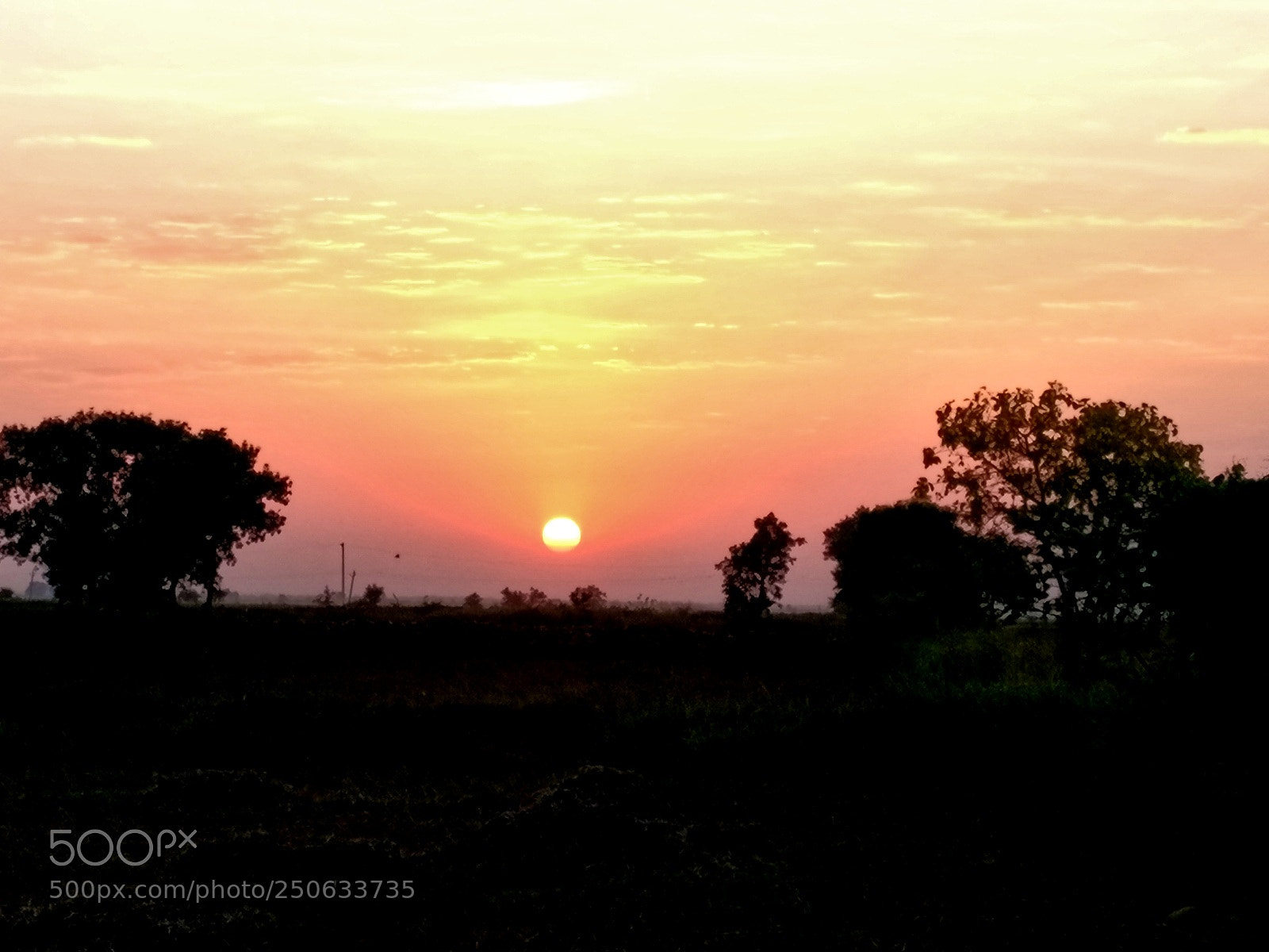 OnePlus A3003 sample photo. One more sunset photography