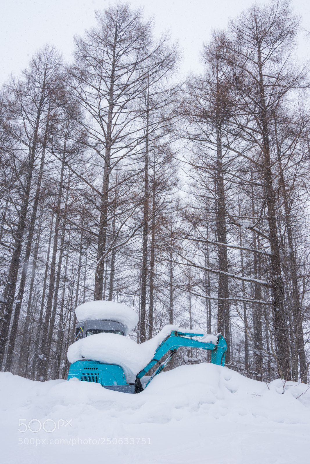 Sony a7 II sample photo. 180131hokkaido-652.jpg photography