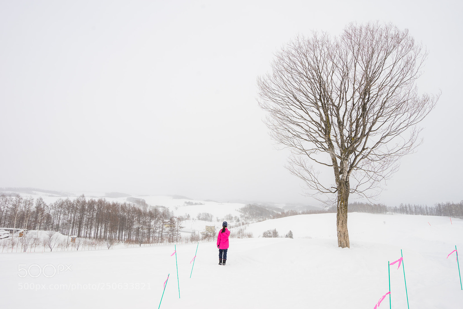 Sony a7 II sample photo. 180131hokkaido-667.jpg photography