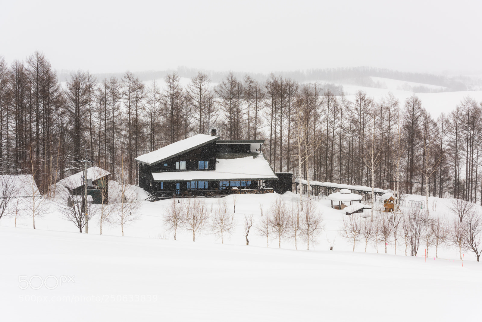 Nikon D810 sample photo. 180131hokkaido-110.jpg photography