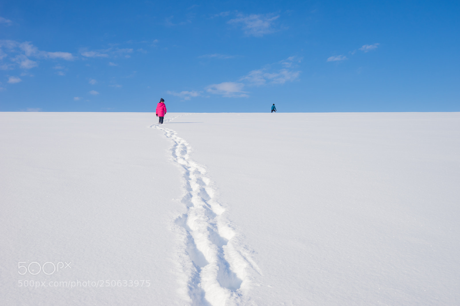 Sony a7 II sample photo. 180201hokkaido-762.jpg photography
