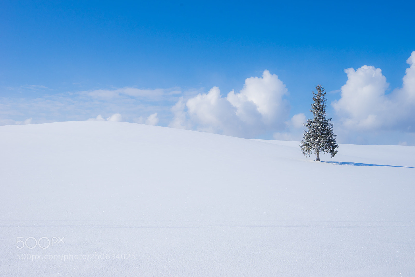 Sony a7 II sample photo. 180201hokkaido-778.jpg photography