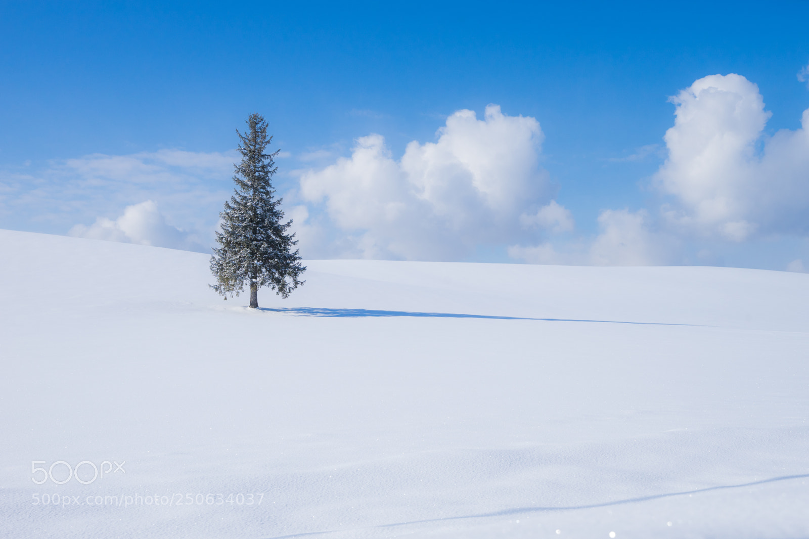 Sony a7 II sample photo. 180201hokkaido-780.jpg photography