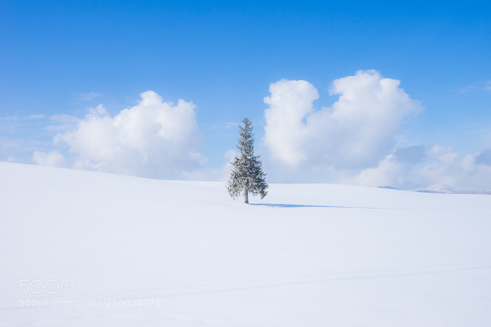 Sony a7 II sample photo. 180201hokkaido-783.jpg photography