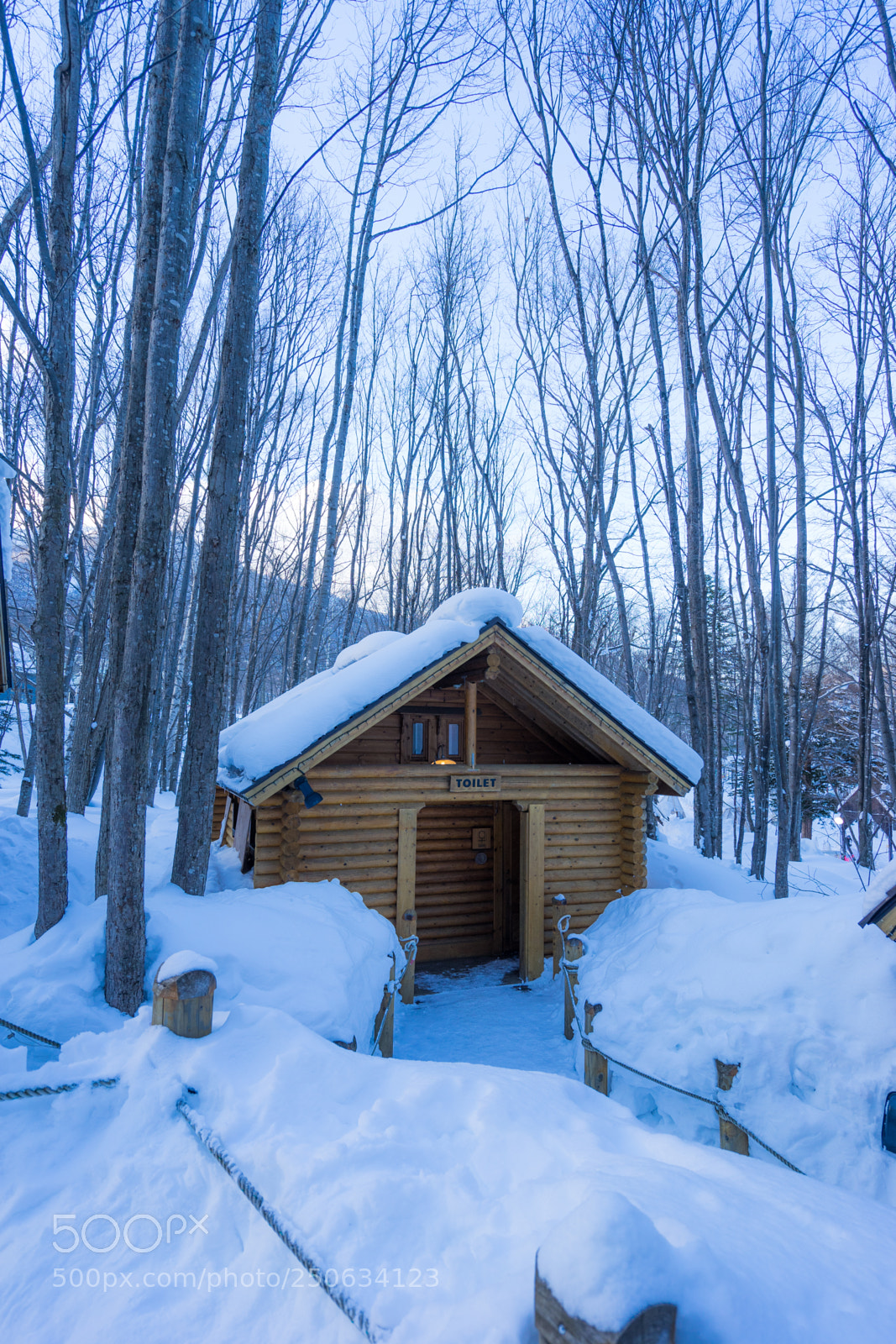 Sony a7 II sample photo. 180201hokkaido-797.jpg photography