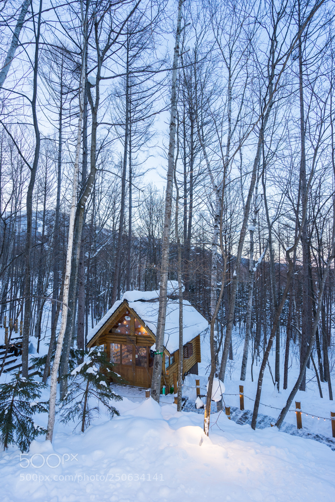 Sony a7 II sample photo. 180201hokkaido-831.jpg photography
