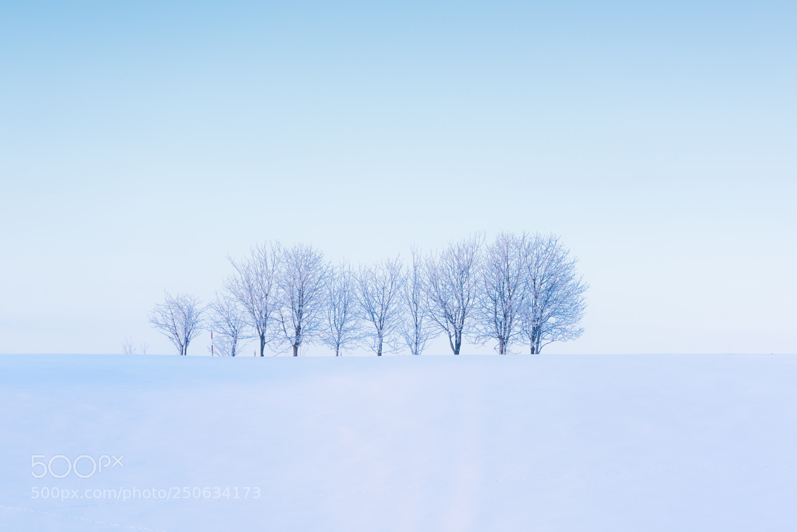 Nikon D810 sample photo. 180202hokkaido-158.jpg photography