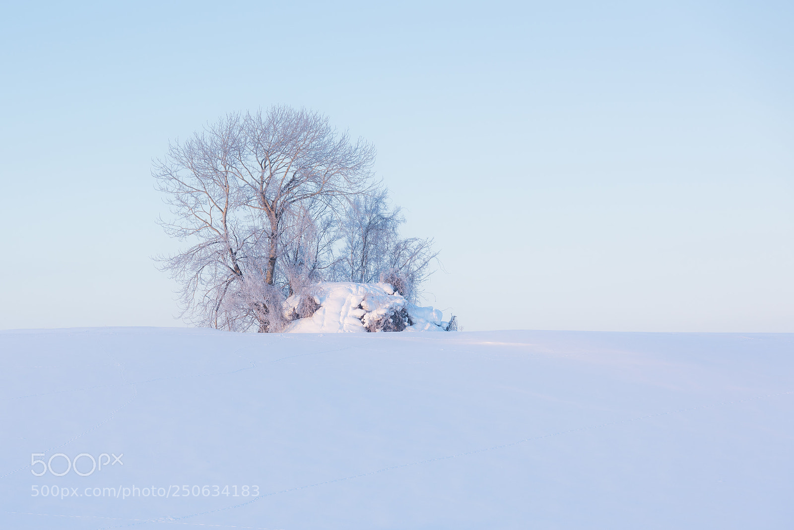 Nikon D810 sample photo. 180202hokkaido-159.jpg photography