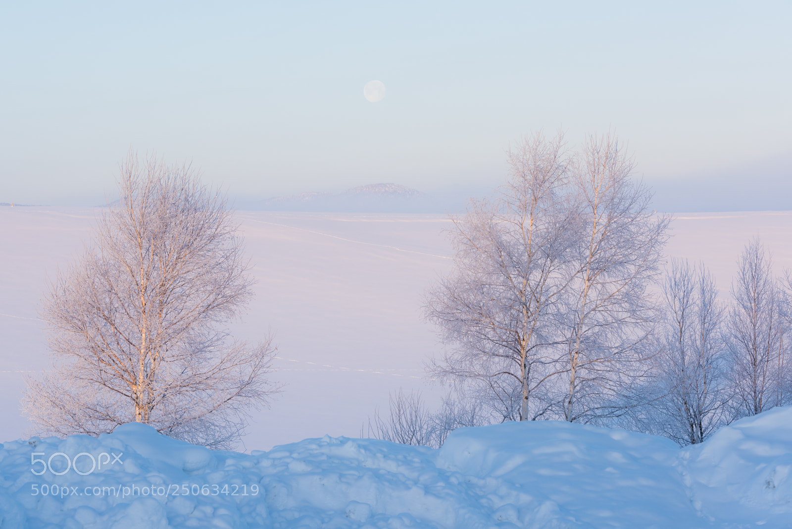 Nikon D810 sample photo. 180202hokkaido-174.jpg photography