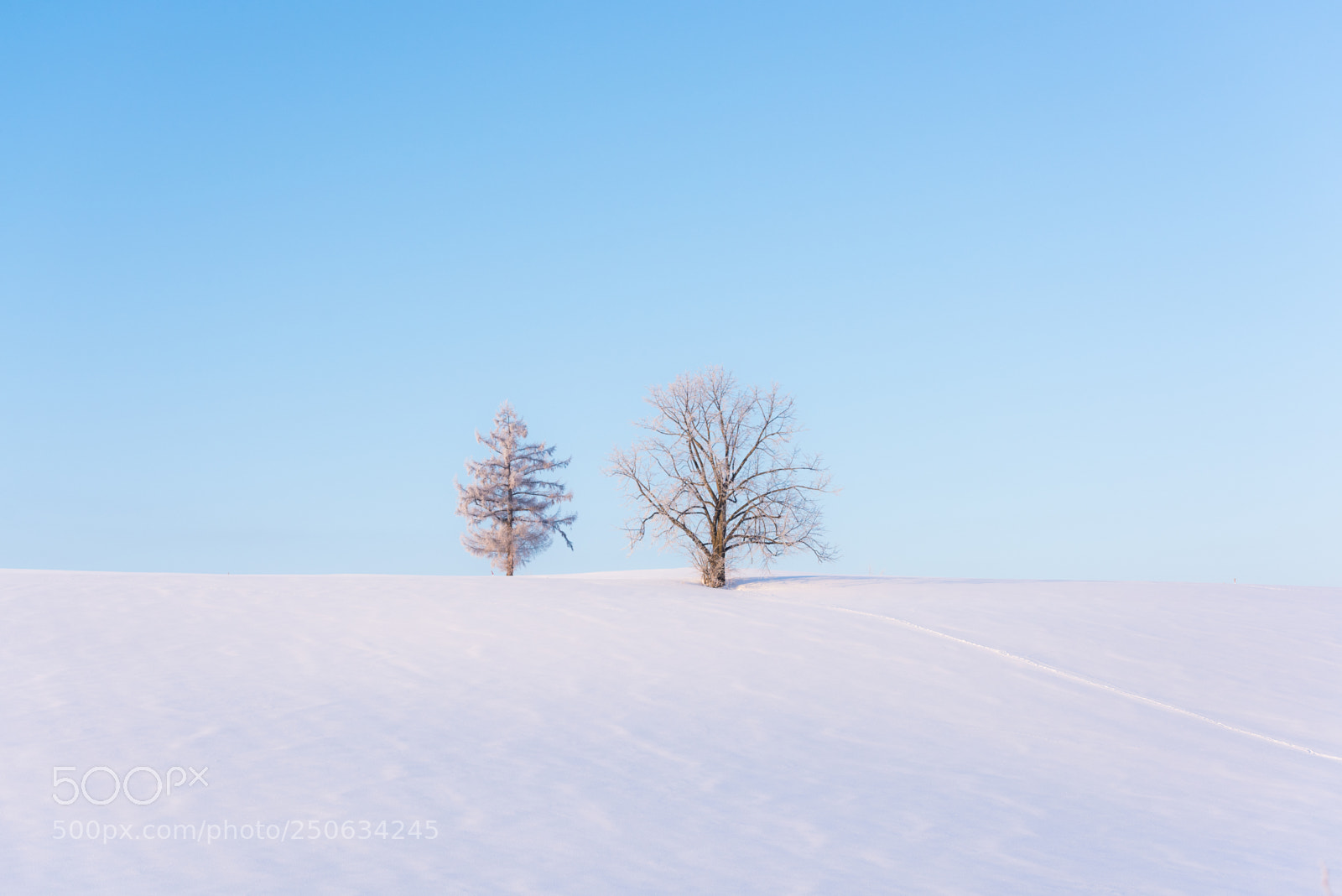 Nikon D810 sample photo. 180202hokkaido-183.jpg photography