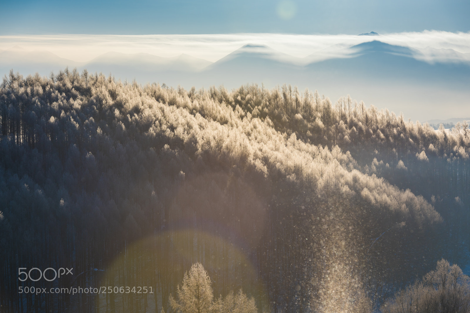 Nikon D810 sample photo. 180202hokkaido-218.jpg photography