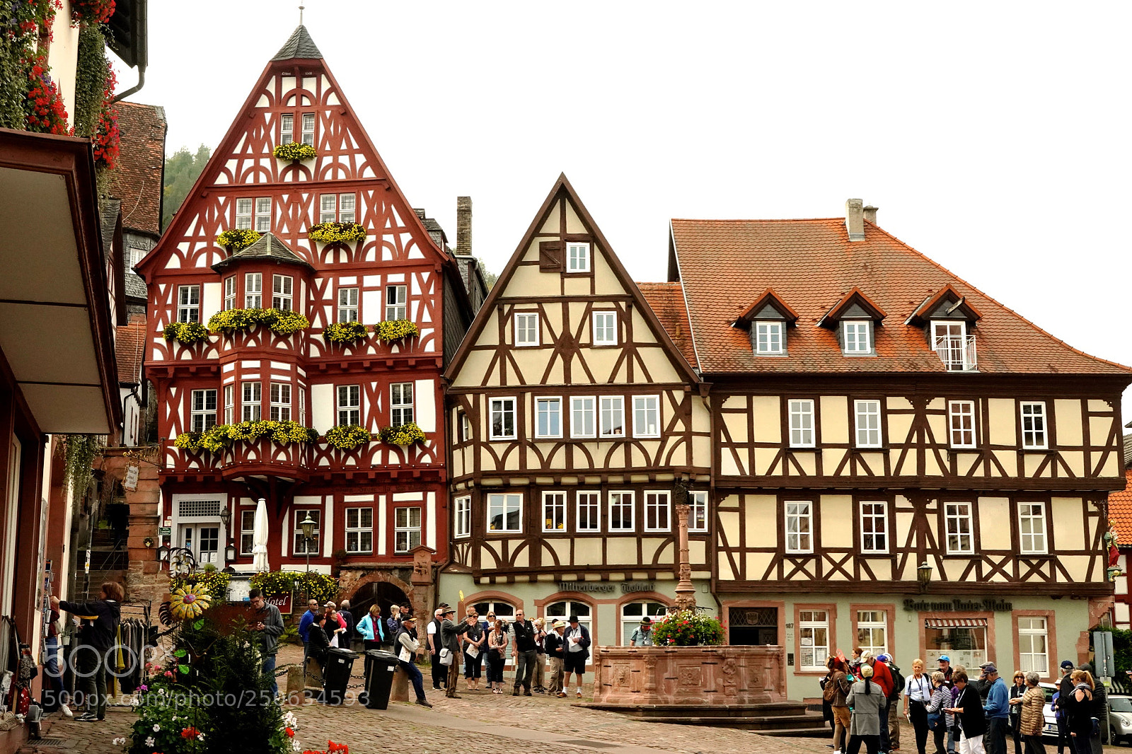 Sony a9 sample photo. Miltenburg photography