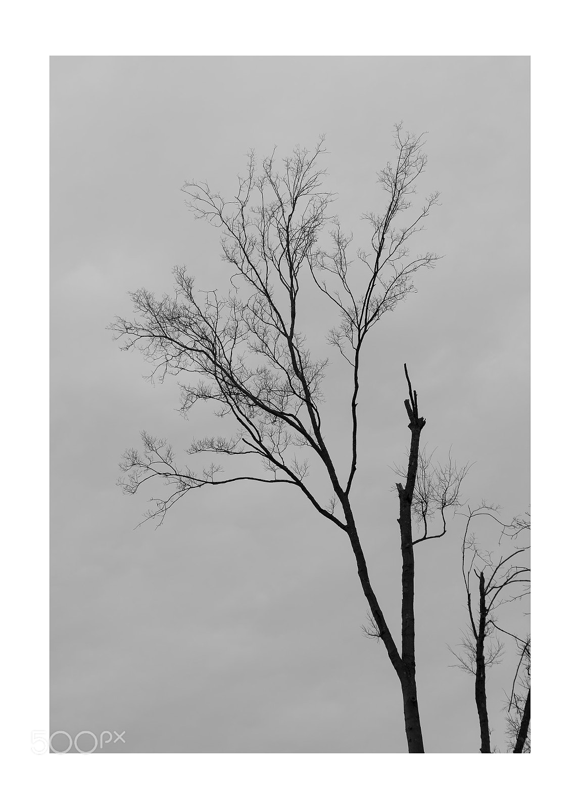 Nikon D7000 sample photo. Untitled ... photography