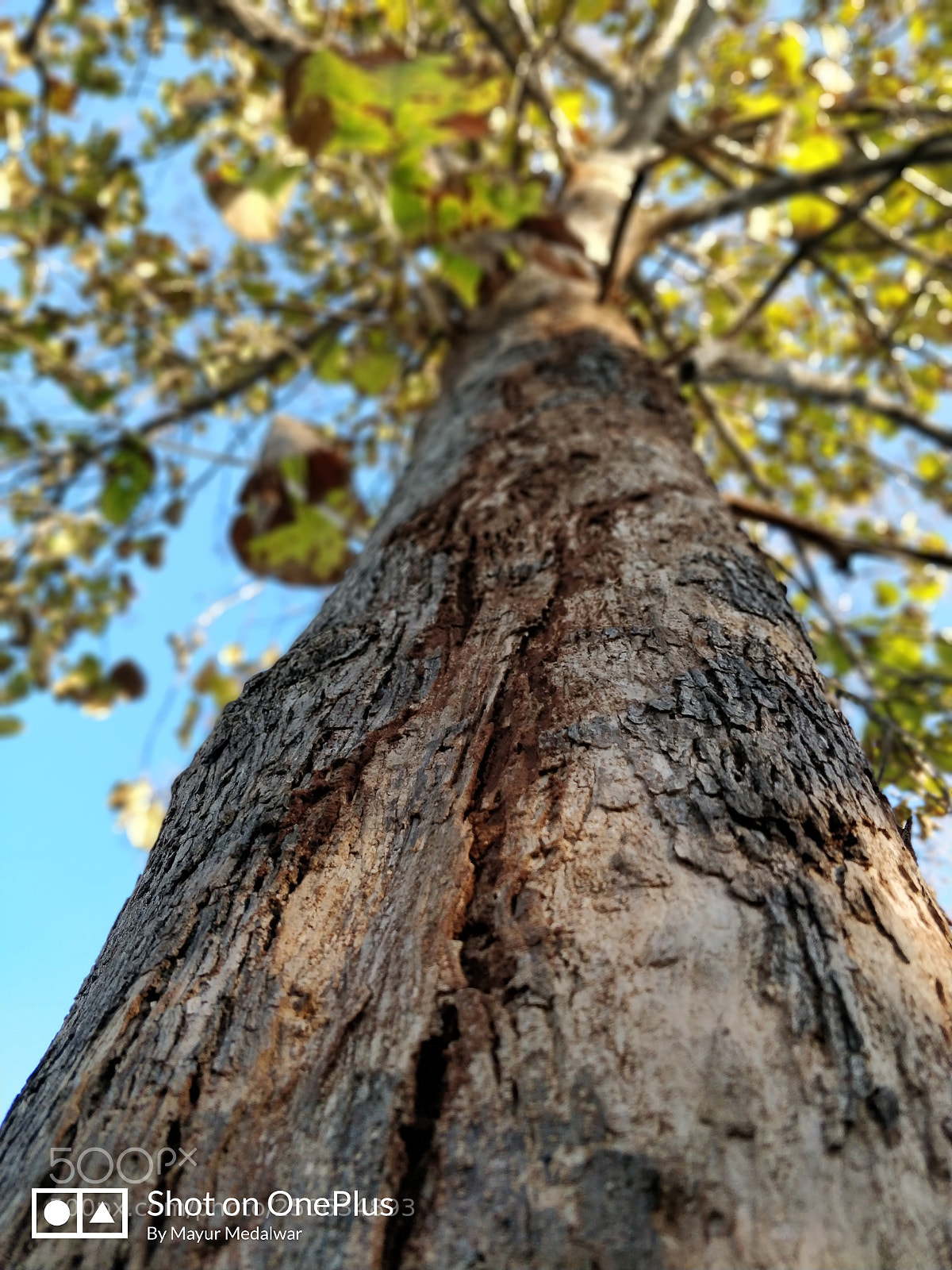 OnePlus 5T sample photo. Untitled photography