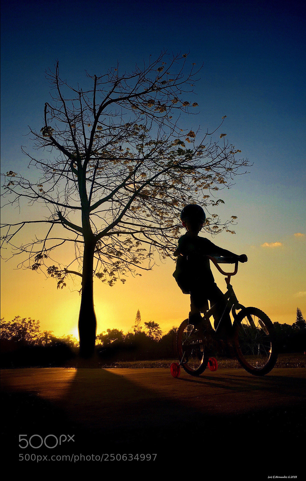 Apple iPhone 6s sample photo. Atardecer en el parque  photography