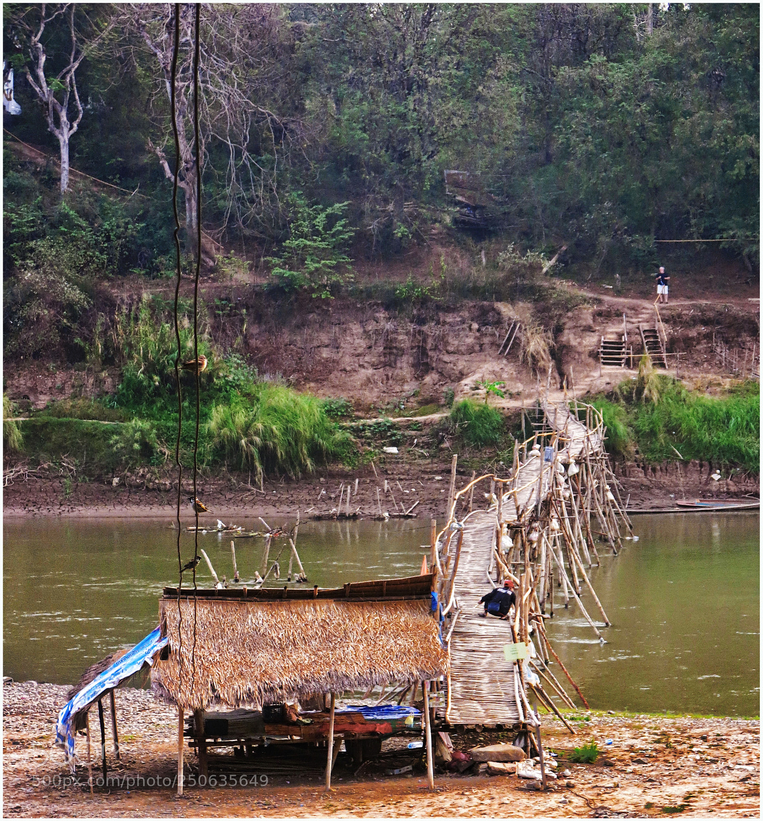 Canon PowerShot G15 sample photo. Bamboo bridge across the photography