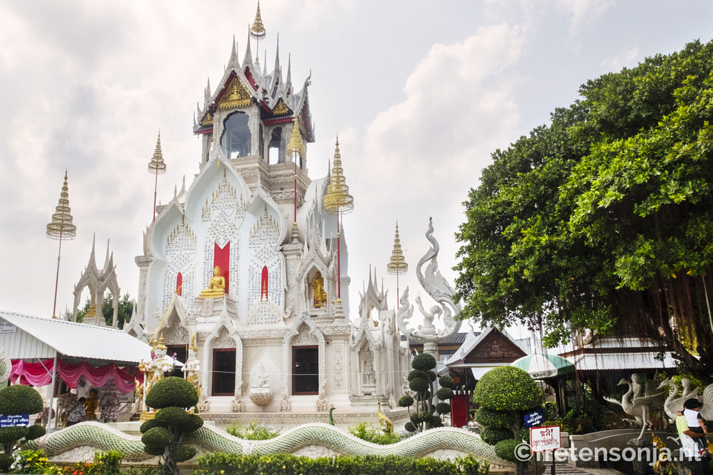 DSCF5177 by www.fretensonja.nl on 500px.com