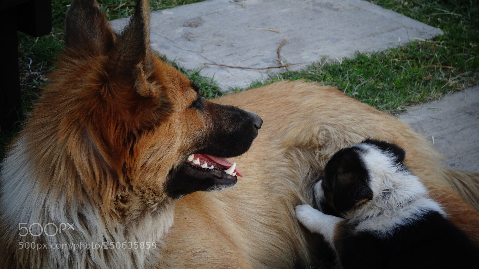 Sony Cyber-shot DSC-HX20V sample photo. Madre e hijo photography
