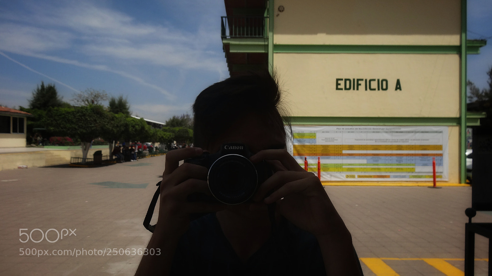Sony Cyber-shot DSC-HX20V sample photo. A trav s de photography