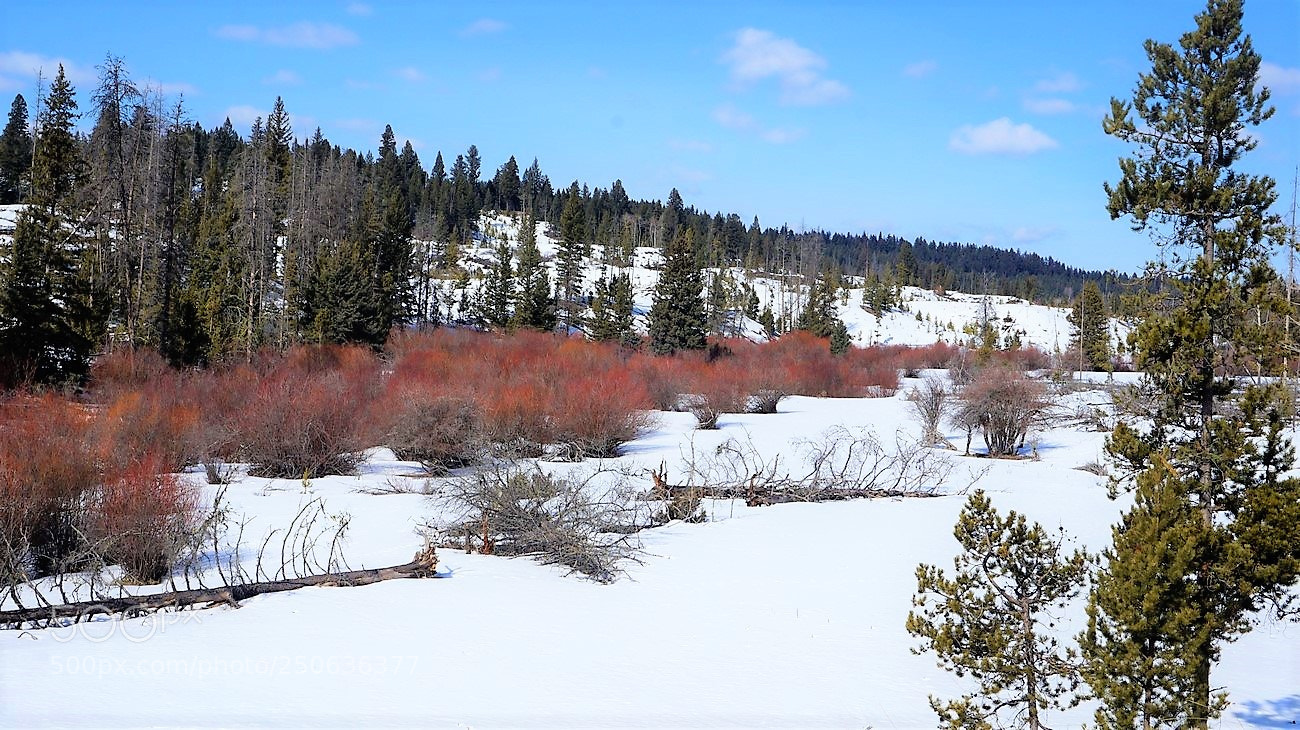 Sony Alpha NEX-3N sample photo. Paysage photography