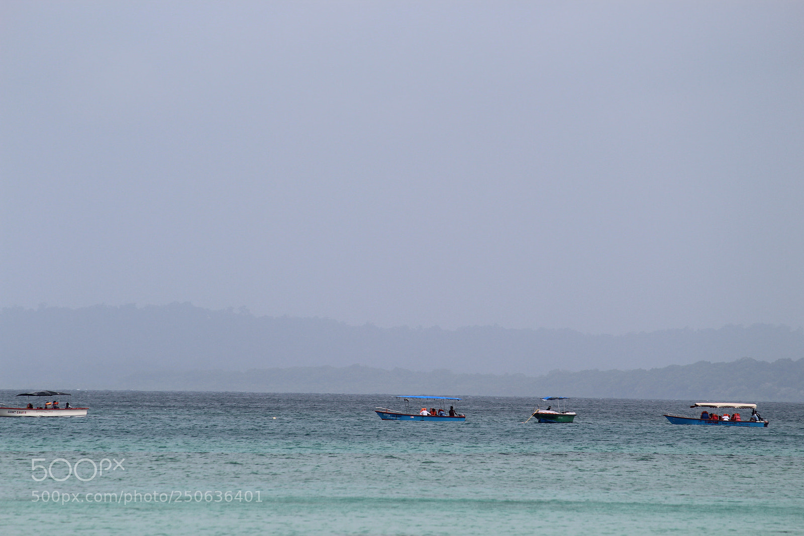 Canon EF-S 55-250mm F4-5.6 IS II sample photo. #andamandairies photography