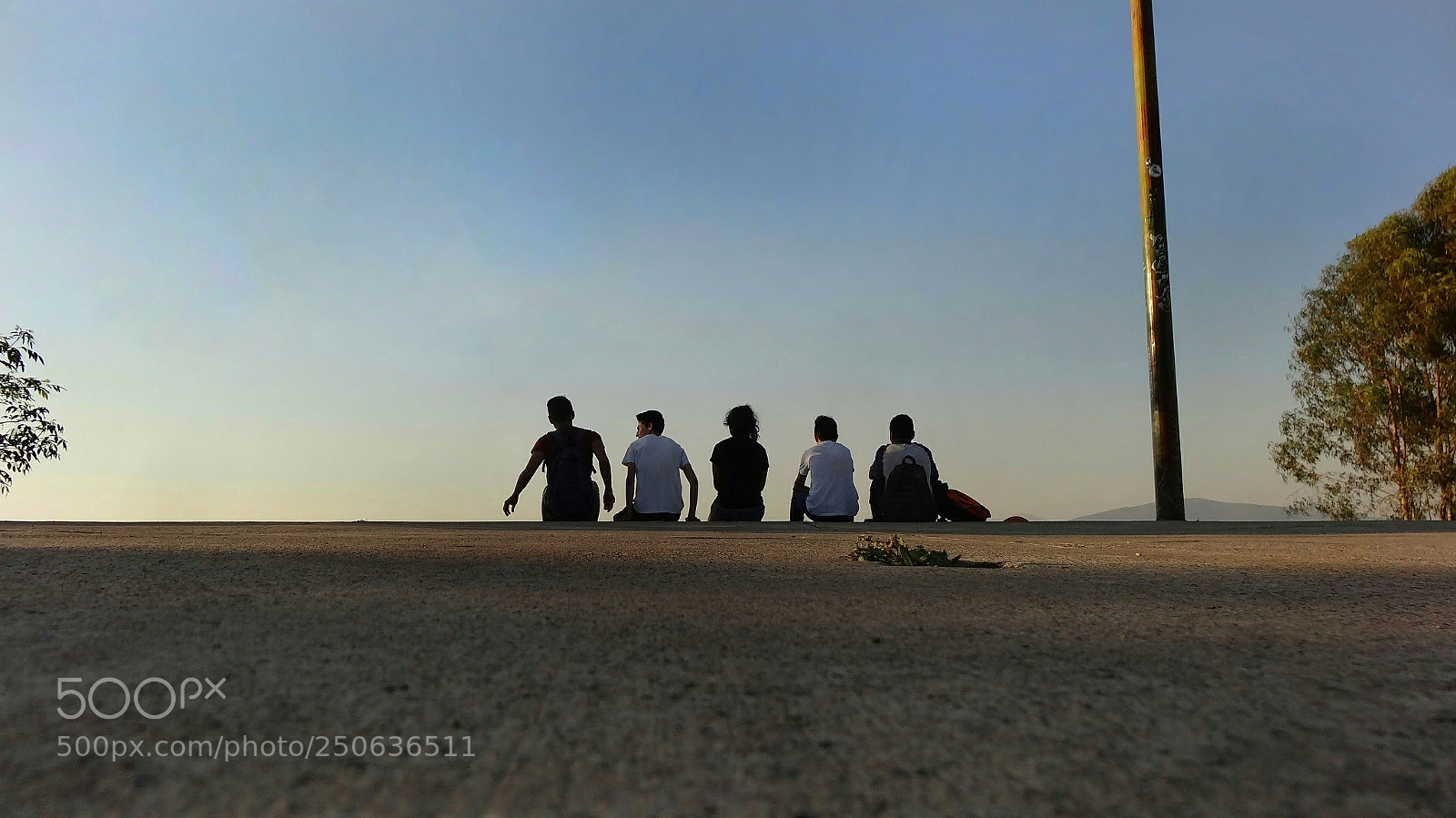 Sony Cyber-shot DSC-HX20V sample photo. Compañeros de vida photography
