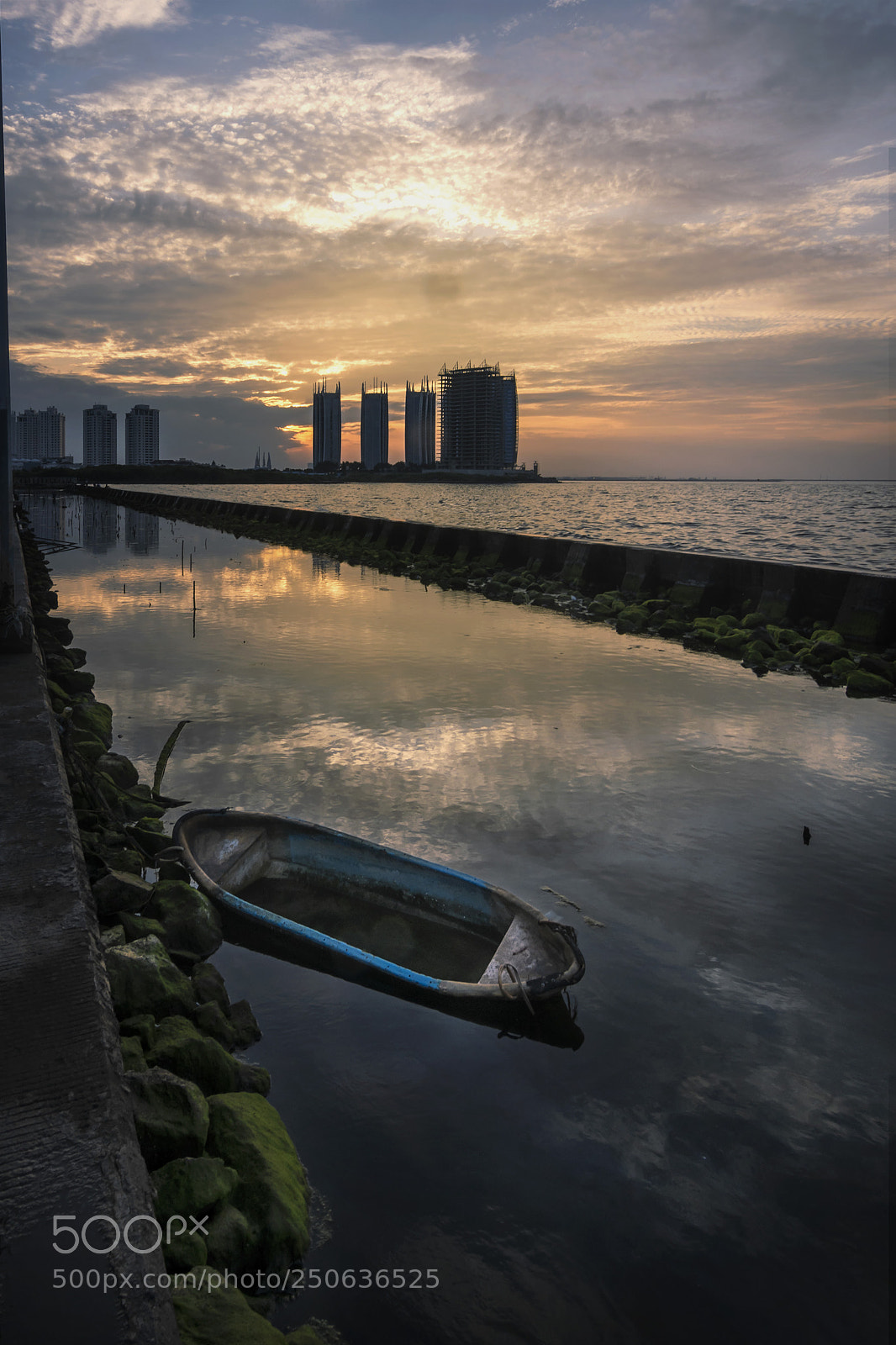 Nikon D7200 sample photo. Trapped photography