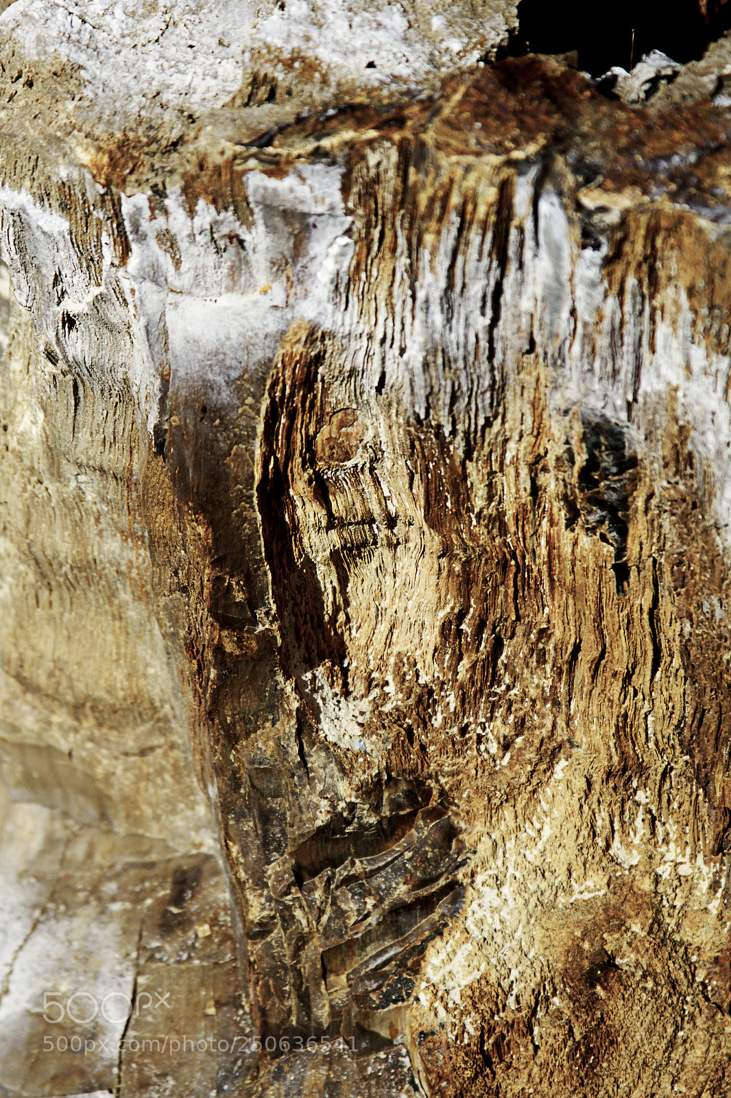 Canon EOS 7D sample photo. Pattern 3 photography