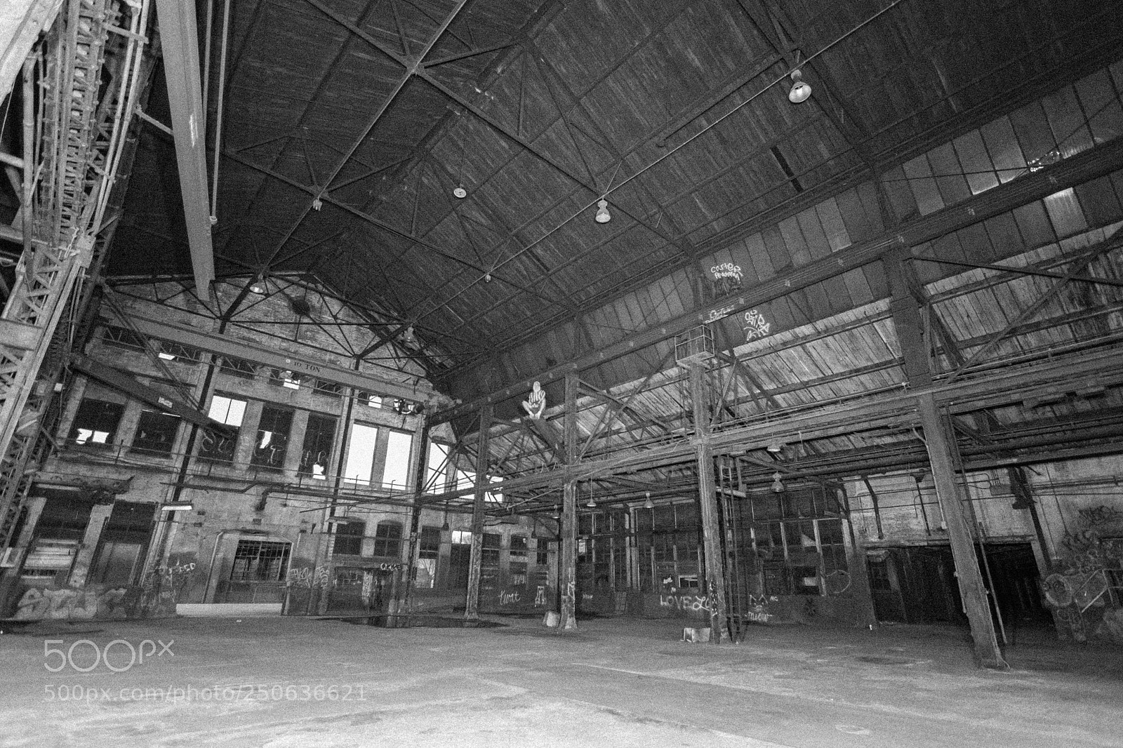 Nikon D7200 sample photo. In the rafters photography