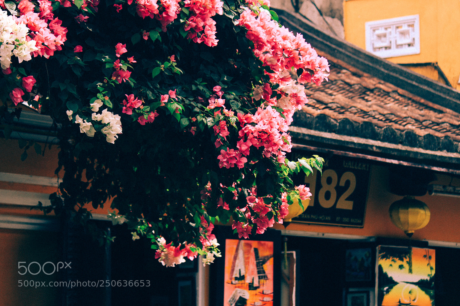 Canon EOS 700D (EOS Rebel T5i / EOS Kiss X7i) sample photo. Hoi an ancient town photography