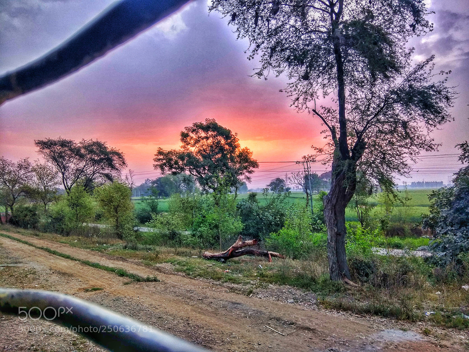 Xiaomi Redmi Note 4 sample photo. Free soul traveler photography