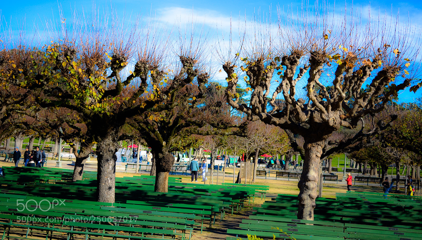 Nikon D5100 sample photo. Found this in natural photography