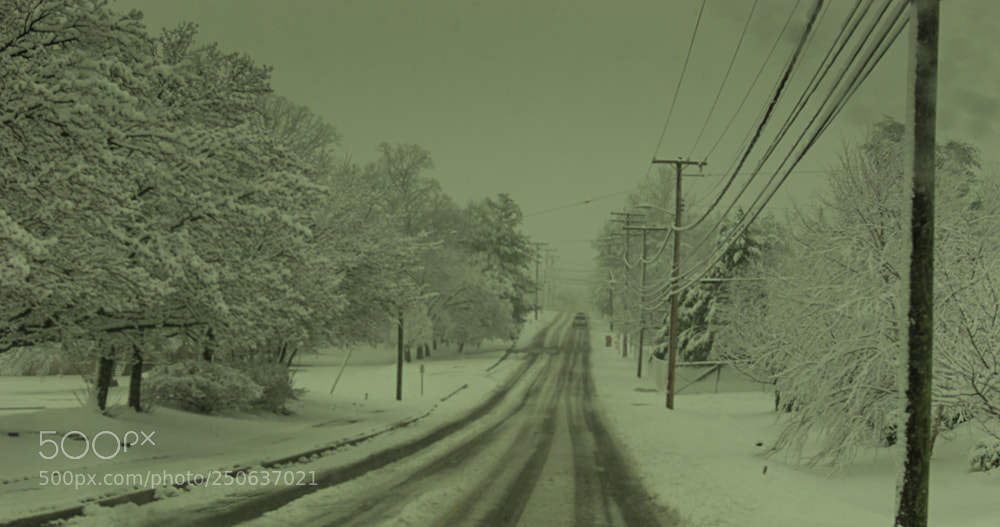 Nikon D5600 sample photo. Snow days photography