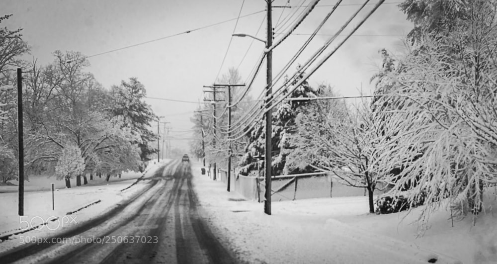 Nikon D5600 sample photo. Snow days photography